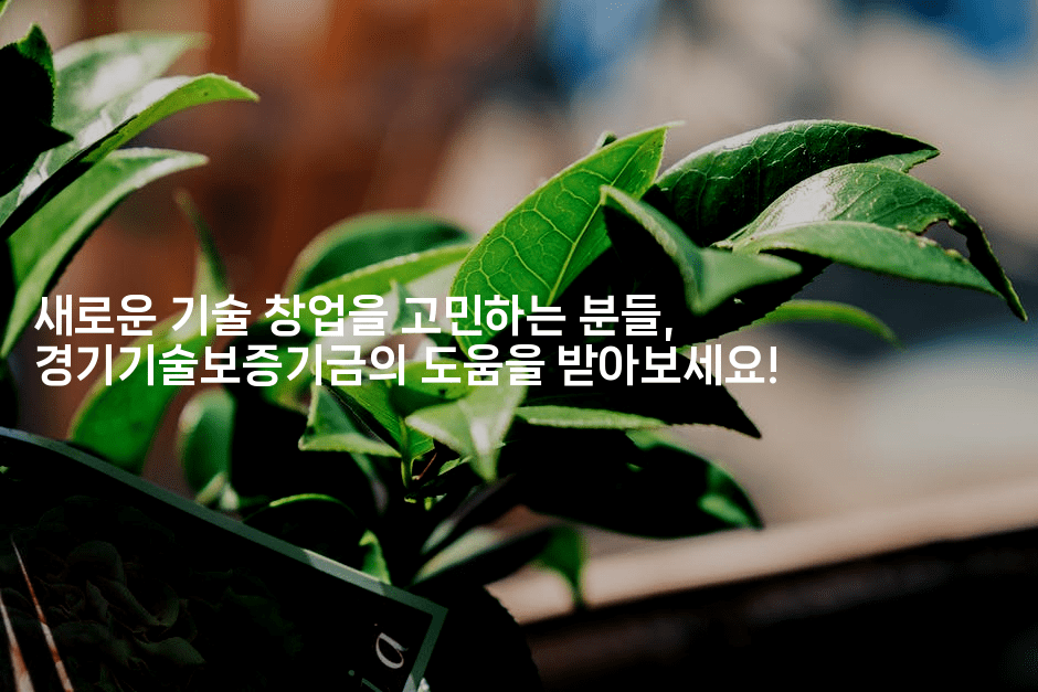 새로운 기술 창업을 고민하는 분들, 경기기술보증기금의 도움을 받아보세요!2-똑똑경영