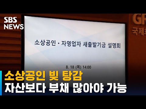 소상공인 빚 탕감, 자산보다 부채 많아야 가능 / SBS
