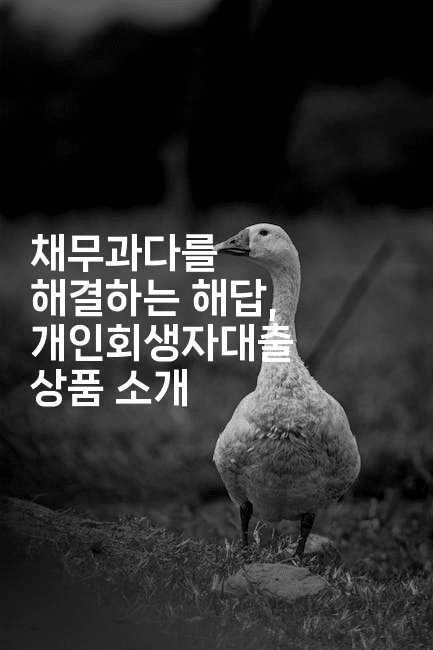 채무과다를 해결하는 해답, 개인회생자대출 상품 소개