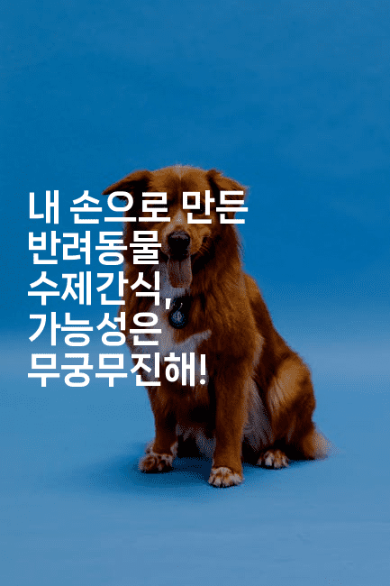 내 손으로 만든 반려동물 수제간식, 가능성은 무궁무진해!-똑똑경영