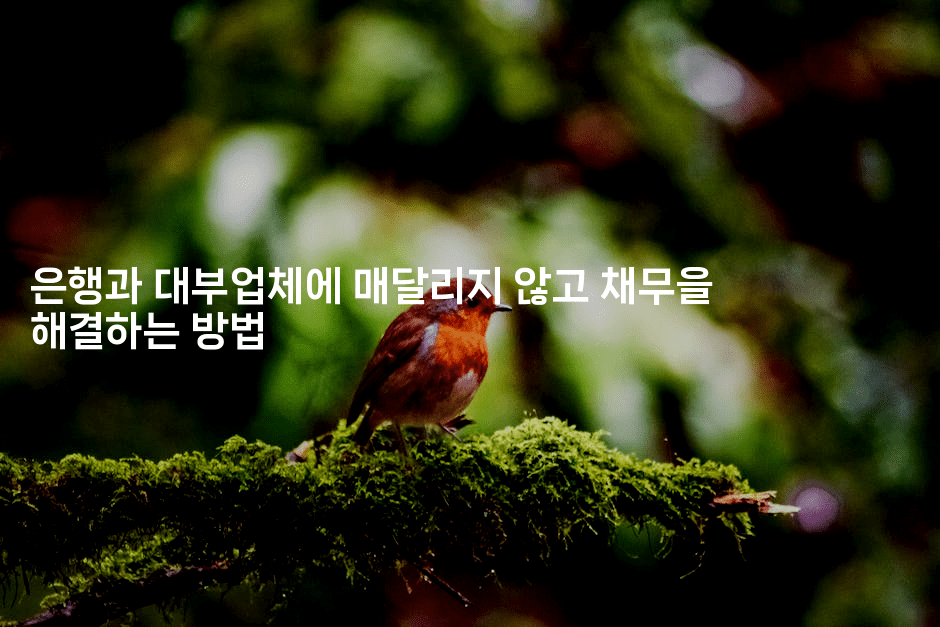 은행과 대부업체에 매달리지 않고 채무을 해결하는 방법