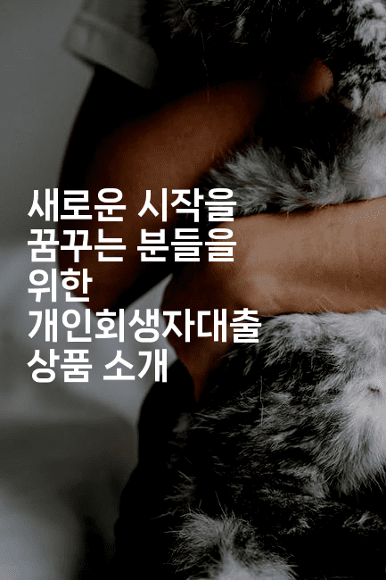 새로운 시작을 꿈꾸는 분들을 위한 개인회생자대출 상품 소개-똑똑경영