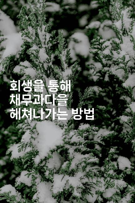 회생을 통해 채무과다을 헤쳐나가는 방법-똑똑경영