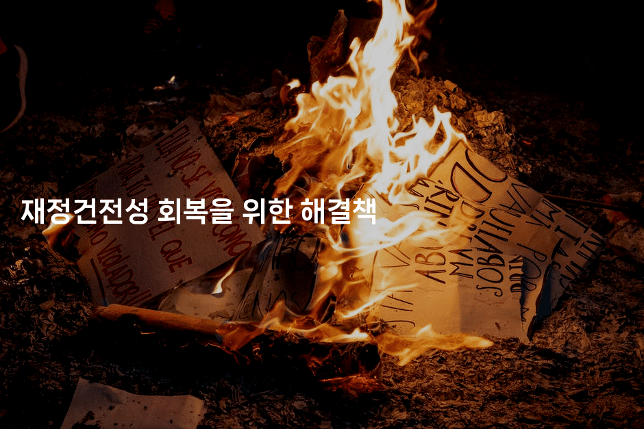 재정건전성 회복을 위한 해결책-똑똑경영