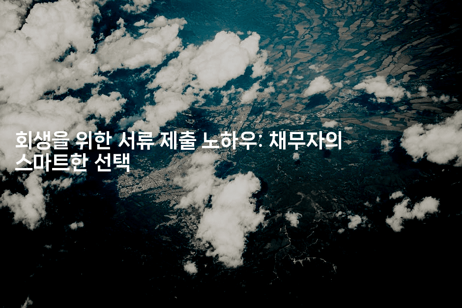 회생을 위한 서류 제출 노하우: 채무자의 스마트한 선택-똑똑경영